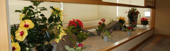 平成28年夏　お中元の返礼茶会