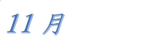 平成28年11月　行事のご案内