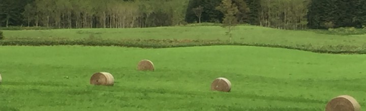 平成28年11月号　風の心