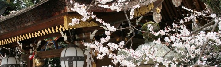 平成29年2月号　風の心