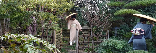 主催茶事　梅見の茶事の風景