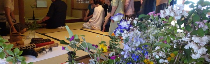 茶花勉強会の風景