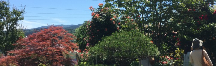 茶道教室 芳月会 小田原遠足だより
