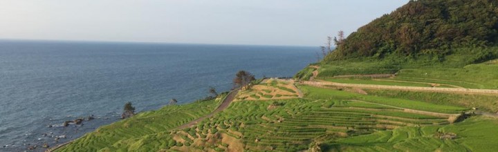 待光庵研修旅行のご案内　山中・金沢・能登