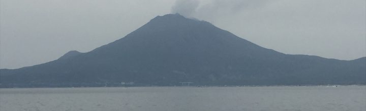 母校の小学生と茶の湯交流会