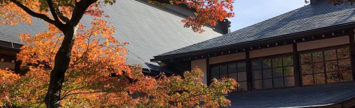 令和4年11月　お稽古日記