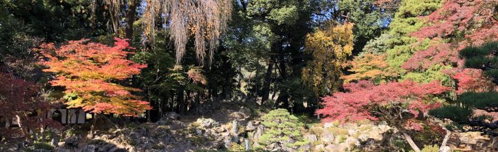 恵林寺茶会のご報告