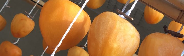 令和4年9月　お稽古日記