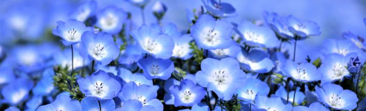 令和3年5月号　風の心