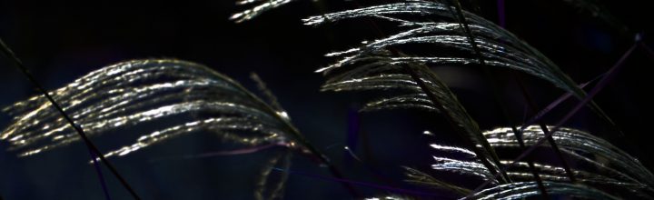 令和3年10月号　風の心