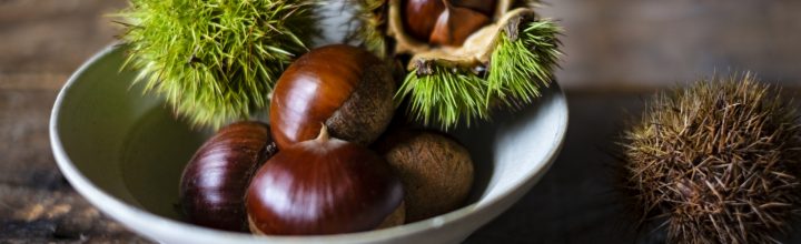 令和3年9月　お稽古日記