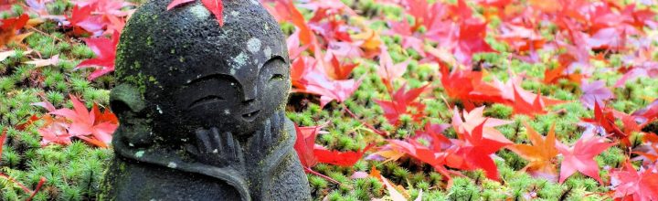 令和3年11月号　風の心