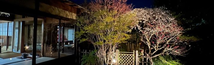 梅見の茶事の風景