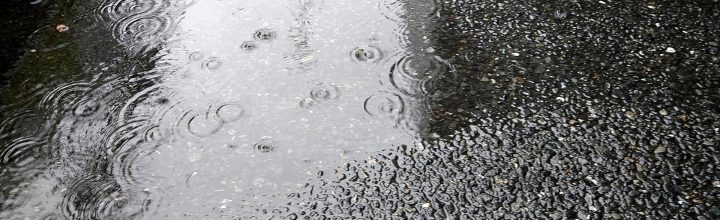 令和4年7月号　風の心