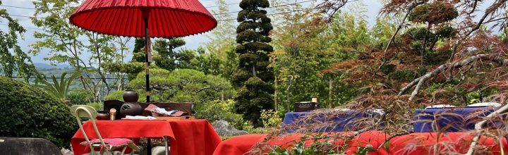 令和4年6月　お稽古日記