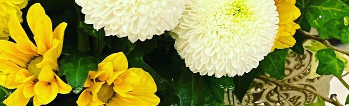 令和4年7月　お稽古日記