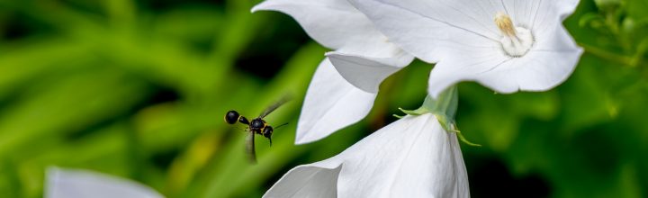 令和4年9月号　風の心