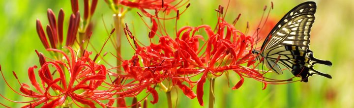 令和4年10月号　風の心