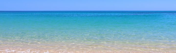 令和６年９月号　風の心