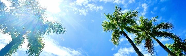 令和8年4月号　風の心